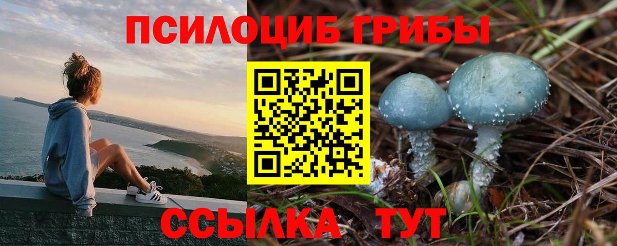 Псилоцибиновые грибы Magic Shrooms  Вход с VPN  Калининград 